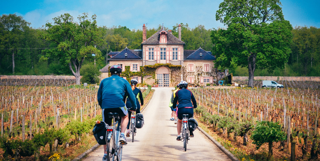 burgundy wine tours